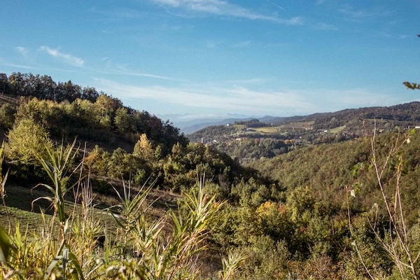 Summer landscape of the Langhe hills surrounding VEDA Ayurvedic Wellness and Borgo Isolabella in Loazzolo, Piemonte