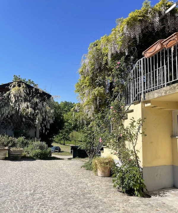 Wisteria courtyard at Borgo Isolabella estate, location of VEDA Ayurvedic Wellness in Loazzolo, Piemonte