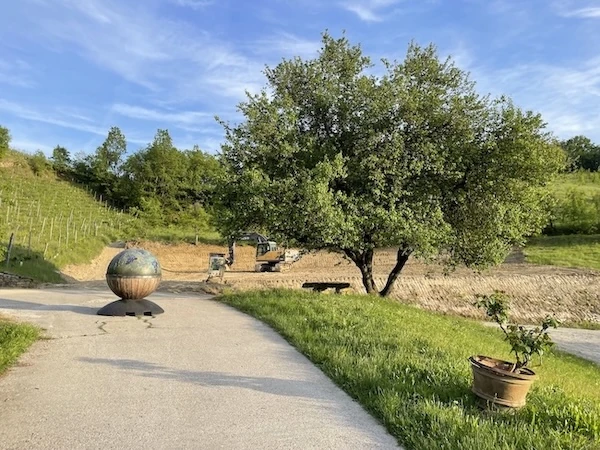 Driveway entrance to Borgo Isolabella estate and VEDA Ayurvedic Wellness in Loazzolo, Piemonte
