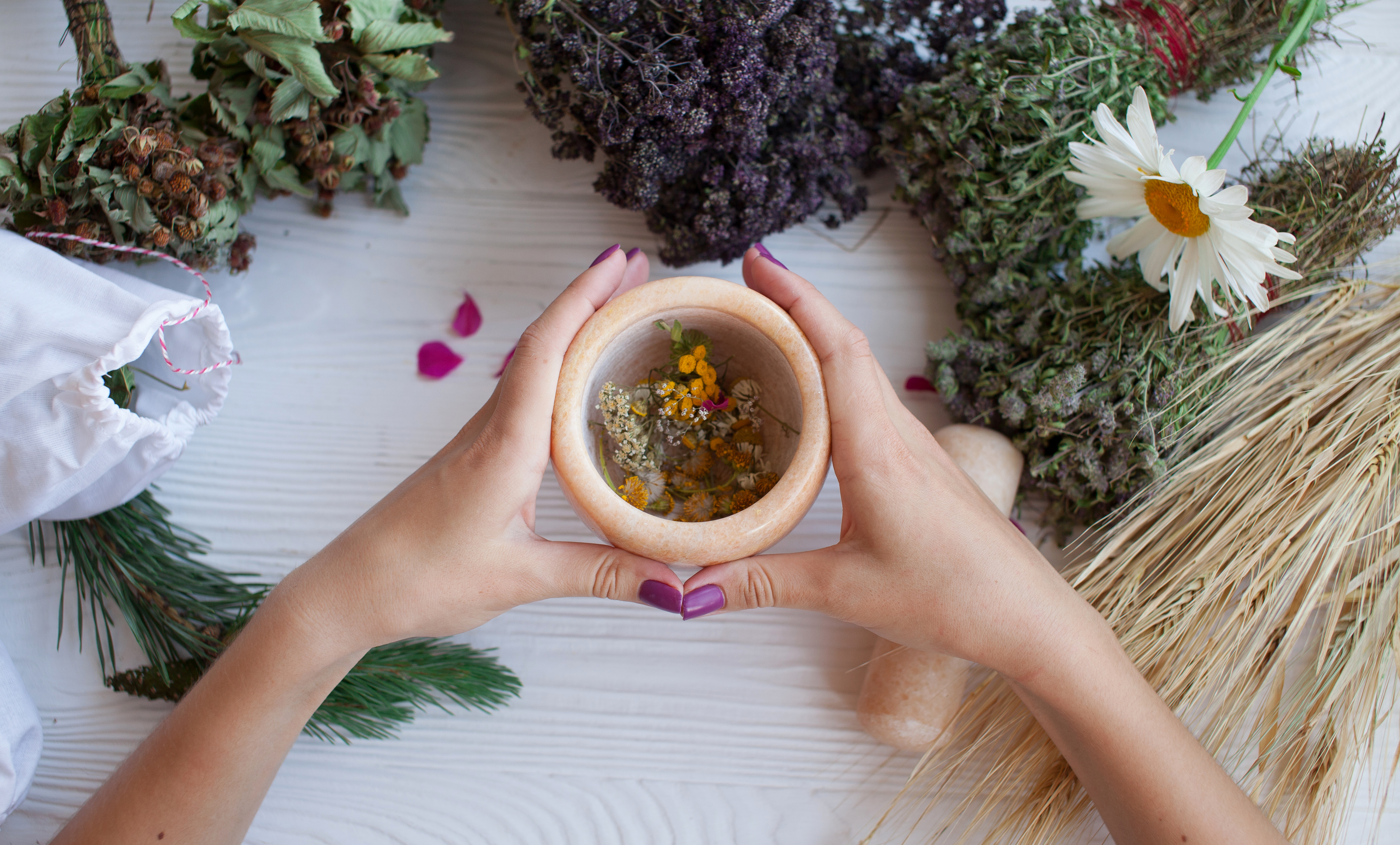 Herbal ingredients in a mortar