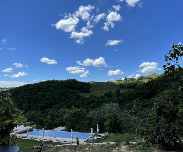 Infinity pool overlooking the vineyard hills at Borgo Isolabella, Loazzolo, Piemonte — VEDA Ayurvedic Wellness retreat