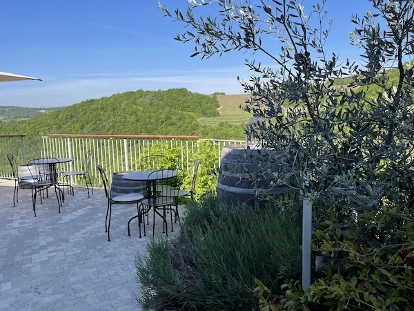 Wine tasting terrace with panoramic vineyard views at Borgo Isolabella in Loazzolo, Piemonte — VEDA Ayurvedic Wellness experience